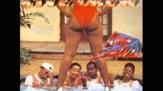 2 Live Crew - Mega Mixx II