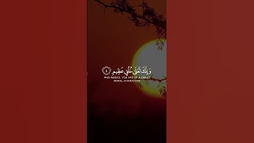 القارئ اسلام صبحي - سورة القلم Surah Al-Qalam  | مقاطع قرآن قصيرة وحالات واتس إسلامية 🌱