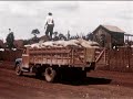 Time for Coffee (1950) | Mid‑Century Commodity Promotion