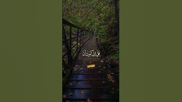 قل إني أخاف إن عصيت ربي عذاب يوم عظيم [الأنعام] القارئ #محمد_أيوب