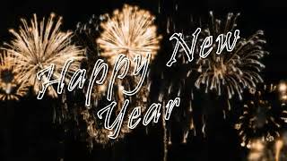 Goodbye 2023, Hello 2024! Happy New Year from all of us at Wagan Tech!