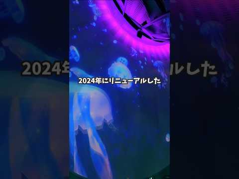 【佐賀観光】波戸岬の新スポット★玄海海中展望塔がリニューアル♪ #shorts