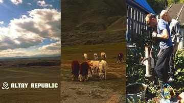 Collecting River & Groundwater Sample in Altay Republic, Russia (2018) | NAPA - Deslocado Instrument