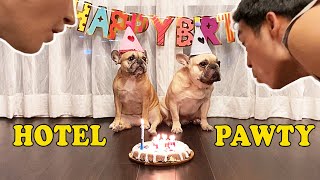 My Dog's Exciting Birthday Party At A Fancy Hotel  [With DIY Birthday Cake Recipe]