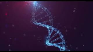 Sp Distribution Evolutionary Films 20192021