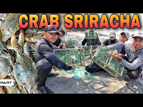 EP950-P1 - Blue Crabs Catch and Cook 