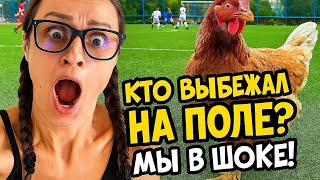 Курица выбежала на поле! Турецкий футбол, который нас шокировал!