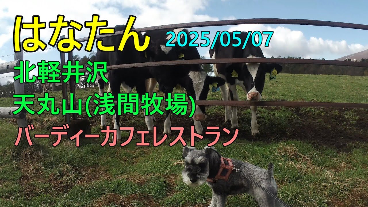 北軽井沢 天丸山(浅間牧場内) と、バーディー(カフェレストラン)