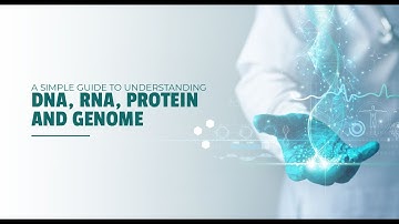 Genomics, Simplified - A Simple Guide To Understanding DNA, RNA, Protein, And Genome @Mapmygenome
