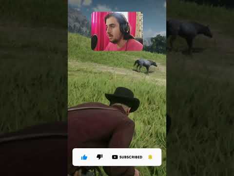 როგორ დავიჭირე ცხენი?