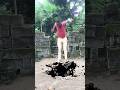The magic jump 😳😳 #magic #jump #viral #trending #reels #shorts
