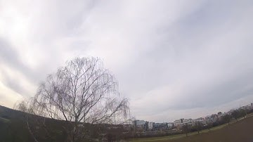 Stingy Clone First Flight