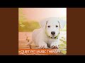 Calming music for pets