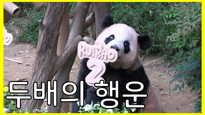 7이 두번 들어간 행운의 날! | 루이와 후이의 생일 | 이제 죽순을 쉽게 뺏기지 않는 두살
