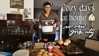 VLOG: winter days in my life in NYC! cooking, seeing friends, new projects + more!