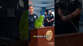 Polly Holds A Press Conference