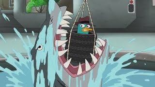 Shark & Worm Noms Mini-Compilation Paf