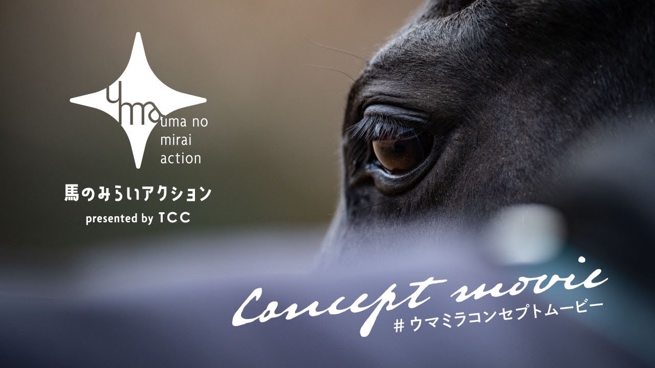 感動と熱狂をくれた馬たちに当たり前の未来を！「馬のみらいアクション