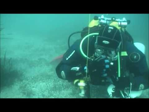 ⁣Immersione Torri del Benaco Elvio, Gianni e Stefano