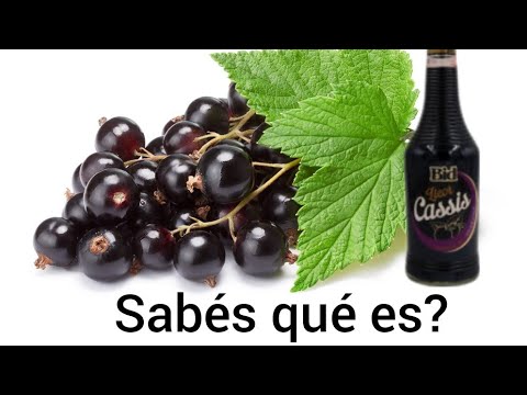 Video: ¿Qué es la bebida de cassis?