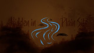 CTF Solution: Hidden in Plain Site