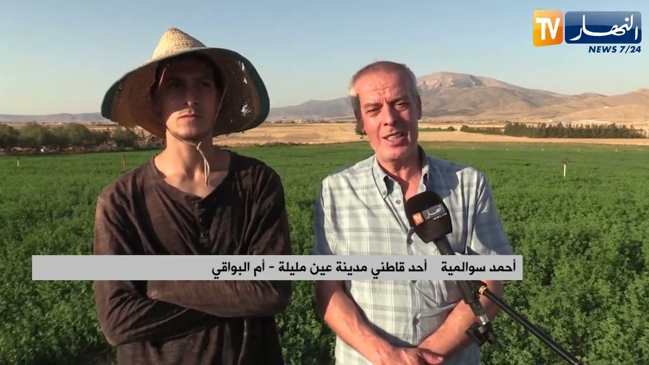 أم البواقي: محركات الديزل أمام مشروع كهربائي معطل في مشتة بوكعبن بعين مليلة