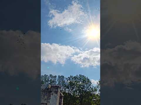 Beautiful Day. 🥰♥️ #ytshorts #timelapse #nature