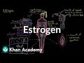 Estrogen | Reproductive system physiology | NCLEX-RN | Khan Academy