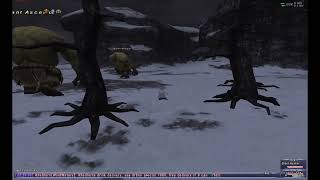 Final Fantasy XI Beastmaster unlock quest (Save my son)