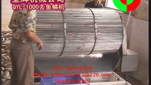 QYL-1000 fish scaling machine, scaler, scale removing machine