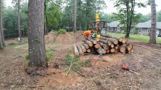 Cutting and stacking White Pine logs