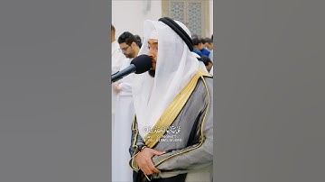 تلاوة حجازية من #سورة_الكافرون 🎙️#احمد_النفيس