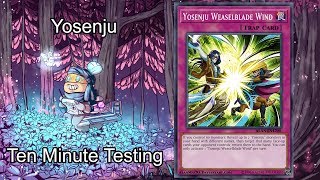 YOSENJU [Post-RIRA] - Ten Minute Testing 4/20/19