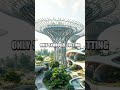 The Secret Green Architecture Projects of a Renowned Actor