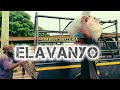 Vimboss bakteria  elavanyo  official visual 