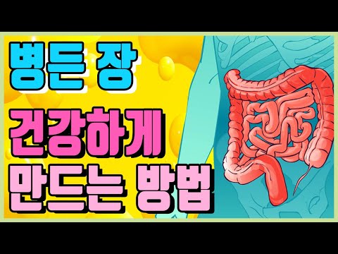 장건강 <strong>면역력에</strong> <strong>좋은</strong> 건강한 유산균 <strong>음식</strong>, 식단, 식품 / 장내미생물 유산균 유익균의 효능 / 장건강해지는 방법 / 장 독소 자가진단 방법