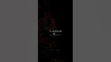 استمع الآن لتلاوة خاشعة بصوت الشيخ محمد صديق المنشاوي، دع قلبك يرتاح ويطمئن مع أجمل آيات القرآن