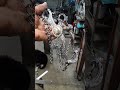 Frenos charros. Amozokeños.originales