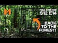 The First Gibbon Release in Three Years | Season 12 Episode 14 | Full Episodes | Monkey Life