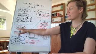 Emotional Eating Solutions Video 9: How to surf an urge