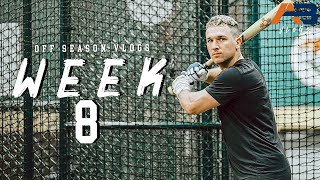 Off Season Vlogs | Week 8 (I FINALLY GET TO SWING AGAIN)