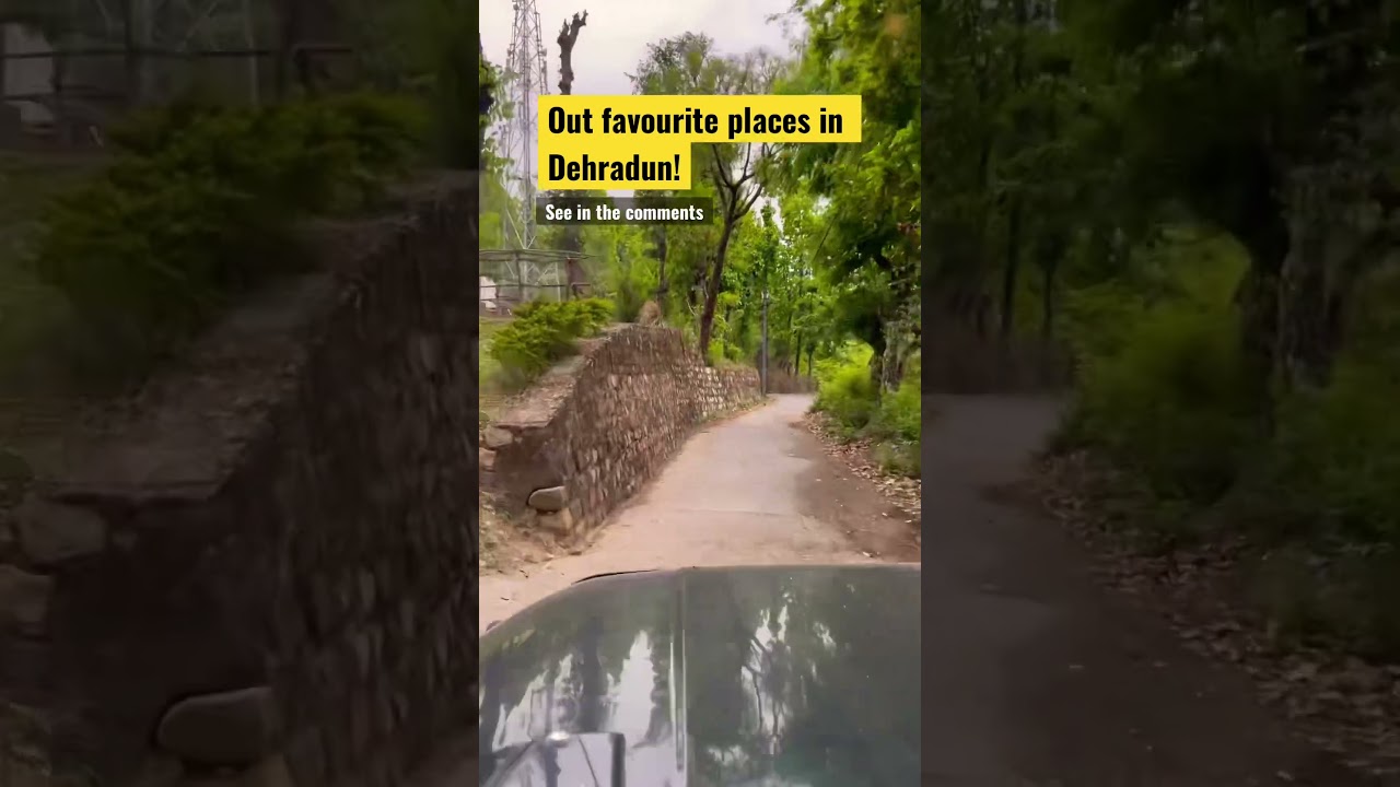 Our Top 5 places in Dehradun. #traveltips #travel #familytravel #dehradun #indiatravel #mussoorie Our Top 5 places in Dehradun. #traveltips #travel #familytravel #dehradun #indiatravel #mussoorie