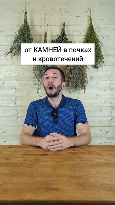 От камней в почках и кровотечений #травы #лекарственныерастения # ...