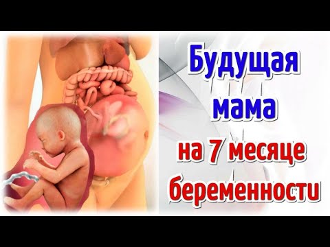 Видео: Наталья Стрейнард может похвастаться 7-месячным бикини беременности