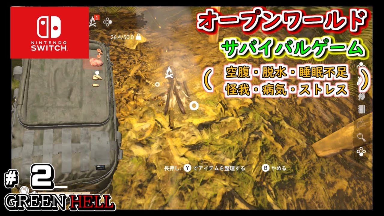 Switch 【GREEN HELL】 グリーンヘル実況＃2 オープンワールドサバイバルゲームで生存をかけてジャングルの奥地を攻略していく！