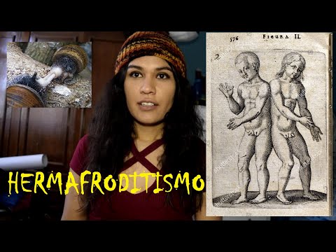 Vídeo: Hermafroditas - Un Misterio De Biología - Vista Alternativa