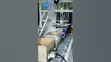 bag insertion machine，bag decuffer folder ，High speed bag inserter with max speed of 20pcs/.min.