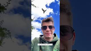 I rescue not for praise,but because every life matters.May all living thingsbe safe and loved. ❤️