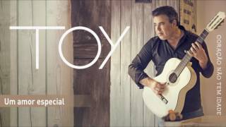 Toy - Um amor especial