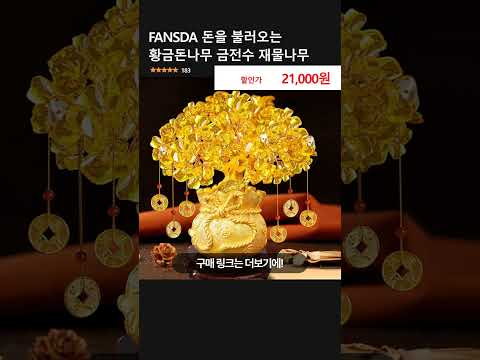 FANSDA 돈을 불러오는 황금돈나무 금전수 재물나무